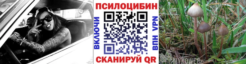 Псилоцибиновые грибы Psilocybine cubensis  Нововоронеж 